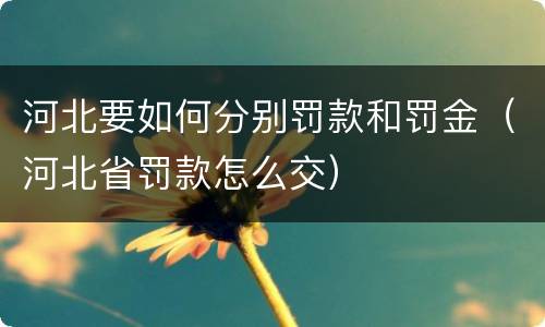 河北要如何分别罚款和罚金（河北省罚款怎么交）