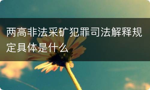两高非法采矿犯罪司法解释规定具体是什么