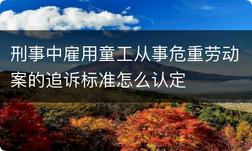 刑事中雇用童工从事危重劳动案的追诉标准怎么认定