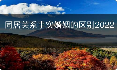 同居关系事实婚姻的区别2022