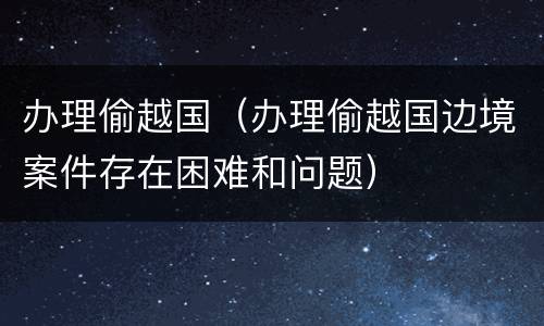 办理偷越国（办理偷越国边境案件存在困难和问题）