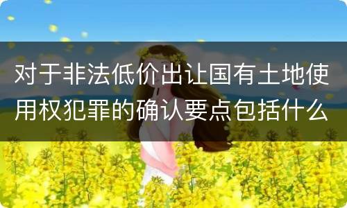对于非法低价出让国有土地使用权犯罪的确认要点包括什么