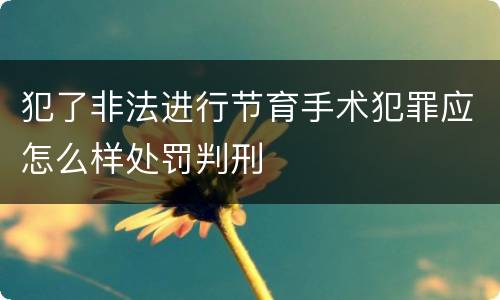 犯了非法进行节育手术犯罪应怎么样处罚判刑