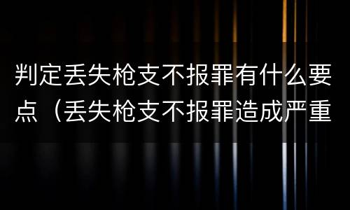 判定丢失枪支不报罪有什么要点（丢失枪支不报罪造成严重后果）