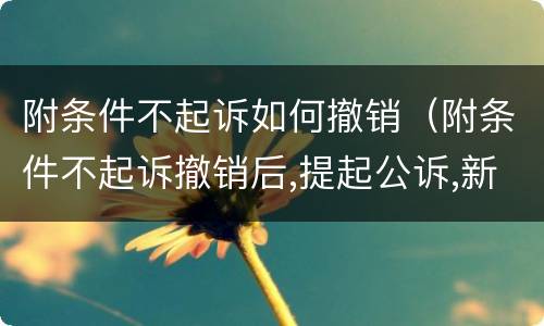 附条件不起诉如何撤销（附条件不起诉撤销后,提起公诉,新的案件怎么移交）