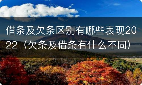 借条及欠条区别有哪些表现2022（欠条及借条有什么不同）