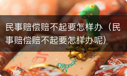 民事赔偿赔不起要怎样办（民事赔偿赔不起要怎样办呢）