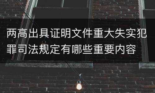 两高出具证明文件重大失实犯罪司法规定有哪些重要内容