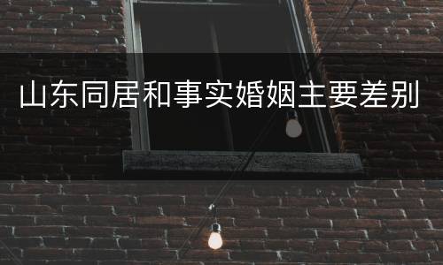 山东同居和事实婚姻主要差别