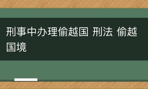 刑事中办理偷越国 刑法 偷越国境
