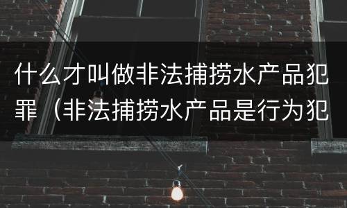 什么才叫做非法捕捞水产品犯罪（非法捕捞水产品是行为犯还是结果犯）