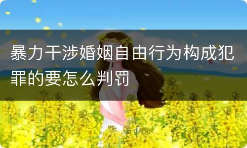 暴力干涉婚姻自由行为构成犯罪的要怎么判罚