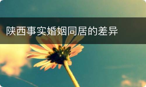 陕西事实婚姻同居的差异