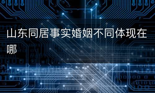 山东同居事实婚姻不同体现在哪