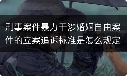 刑事案件暴力干涉婚姻自由案件的立案追诉标准是怎么规定