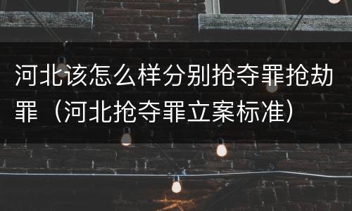河北该怎么样分别抢夺罪抢劫罪（河北抢夺罪立案标准）