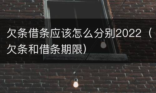 欠条借条应该怎么分别2022（欠条和借条期限）