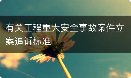 有关工程重大安全事故案件立案追诉标准