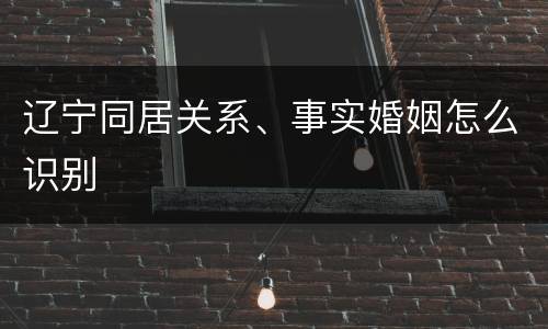 辽宁同居关系、事实婚姻怎么识别