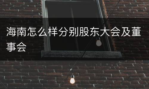 海南怎么样分别股东大会及董事会