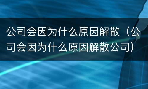 公司会因为什么原因解散（公司会因为什么原因解散公司）