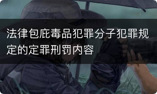 法律包庇毒品犯罪分子犯罪规定的定罪刑罚内容