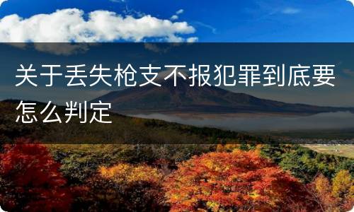 关于丢失枪支不报犯罪到底要怎么判定