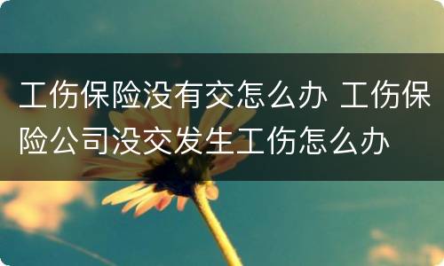 工伤保险没有交怎么办 工伤保险公司没交发生工伤怎么办