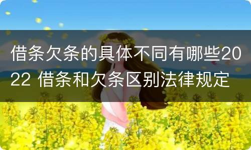 借条欠条的具体不同有哪些2022 借条和欠条区别法律规定