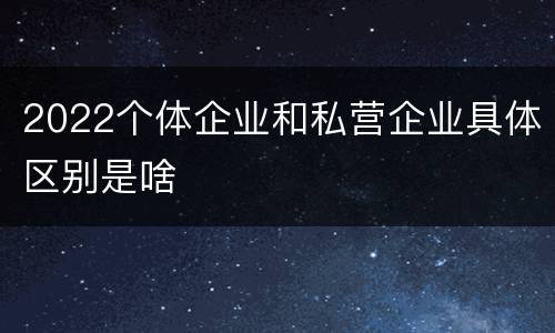 2022个体企业和私营企业具体区别是啥