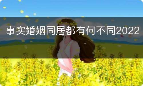事实婚姻同居都有何不同2022