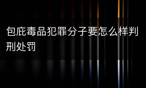 包庇毒品犯罪分子要怎么样判刑处罚