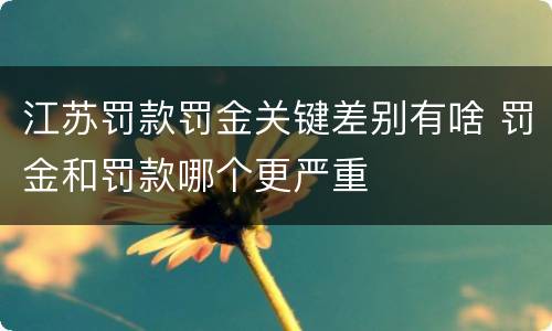 江苏罚款罚金关键差别有啥 罚金和罚款哪个更严重