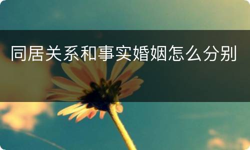 同居关系和事实婚姻怎么分别