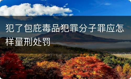 犯了包庇毒品犯罪分子罪应怎样量刑处罚