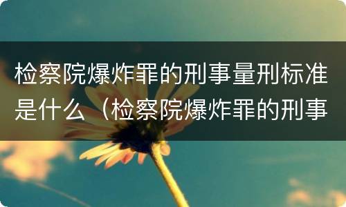 检察院爆炸罪的刑事量刑标准是什么（检察院爆炸罪的刑事量刑标准是什么意思）
