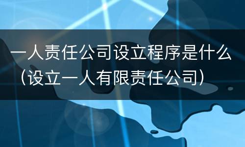 一人责任公司设立程序是什么（设立一人有限责任公司）