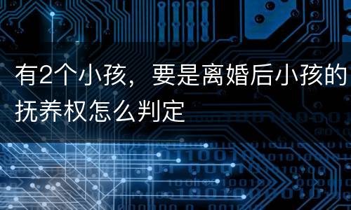有2个小孩，要是离婚后小孩的抚养权怎么判定