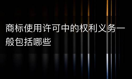 商标使用许可中的权利义务一般包括哪些