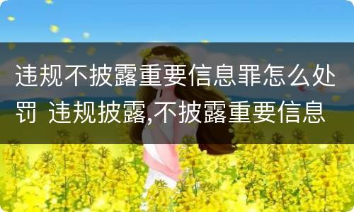 违规不披露重要信息罪怎么处罚 违规披露,不披露重要信息罪构成要件