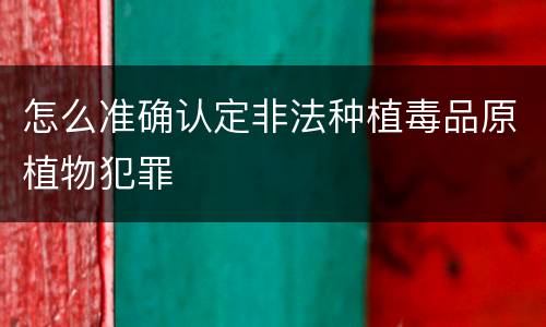 怎么准确认定非法种植毒品原植物犯罪