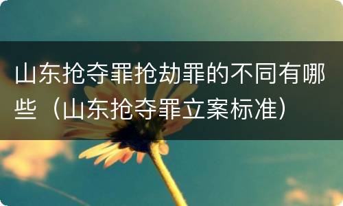 山东抢夺罪抢劫罪的不同有哪些（山东抢夺罪立案标准）
