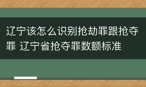 辽宁该怎么识别抢劫罪跟抢夺罪 辽宁省抢夺罪数额标准