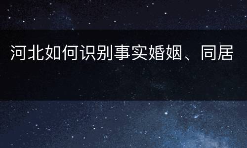 河北如何识别事实婚姻、同居
