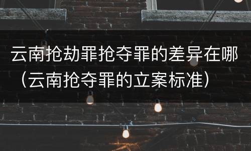 云南抢劫罪抢夺罪的差异在哪（云南抢夺罪的立案标准）