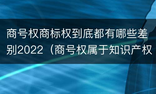 商号权商标权到底都有哪些差别2022（商号权属于知识产权吗）