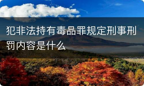 犯非法持有毒品罪规定刑事刑罚内容是什么