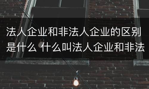 法人企业和非法人企业的区别是什么 什么叫法人企业和非法人企业