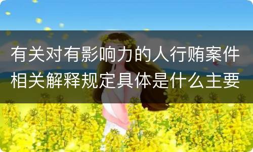 有关对有影响力的人行贿案件相关解释规定具体是什么主要内容
