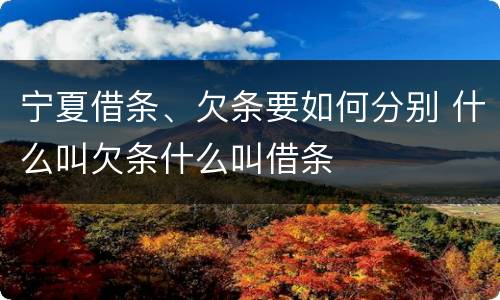 宁夏借条、欠条要如何分别 什么叫欠条什么叫借条